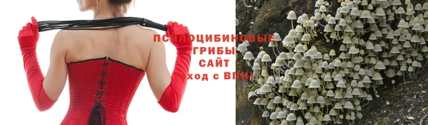 ALPHA-PVP Аркадак